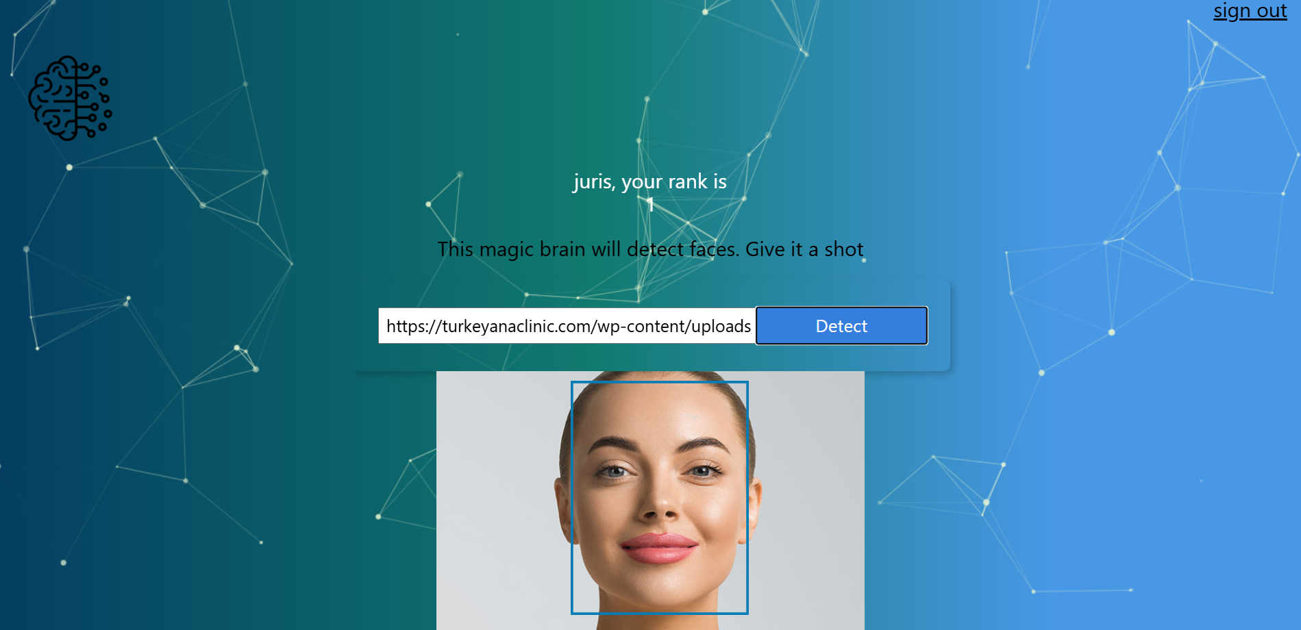 Face Recognition application screenshot showing face detection functionality